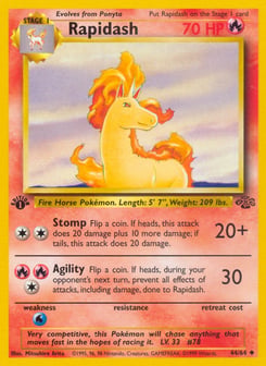Rapidash 44/64 Jungle