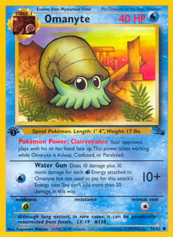 Omanyte 52/62 Fossil