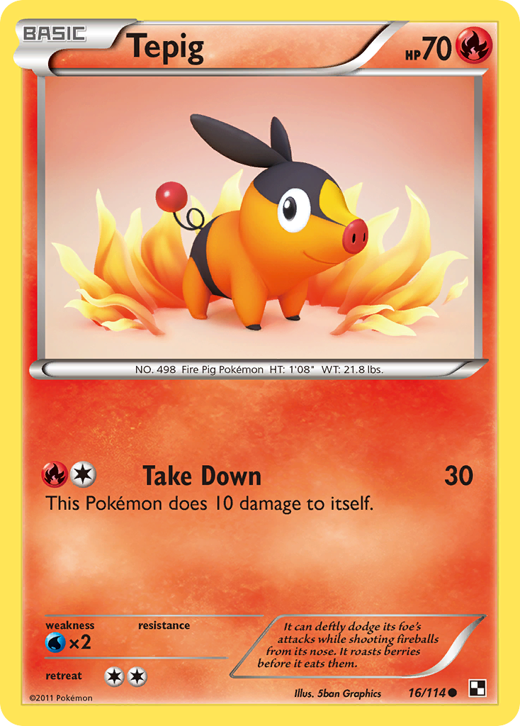 Tepig 16/114 Black & White