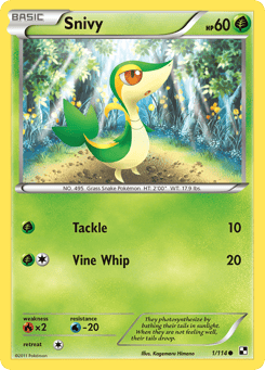 Snivy 1/114 Black & White