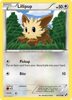 Lillipup 80/114 Black & White