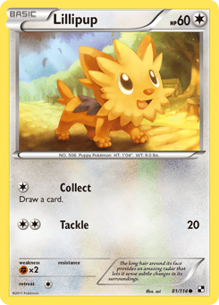 Lillipup 81/114 Black & White