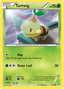 Turtwig 1/135 Plasma Storm