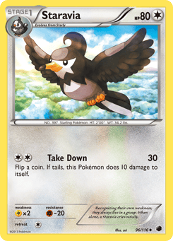 Staravia 96/116 Plasma Freeze