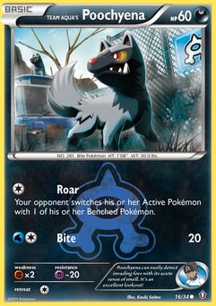 Team Aqua's Poochyena 16/34 Double Crisis