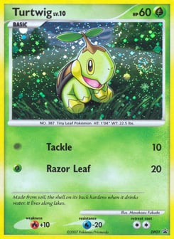Turtwig DP01 DP Black Star Promos