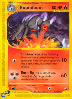 Houndoom 14/147 Aquapolis