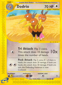 Dodrio 46/147 Aquapolis