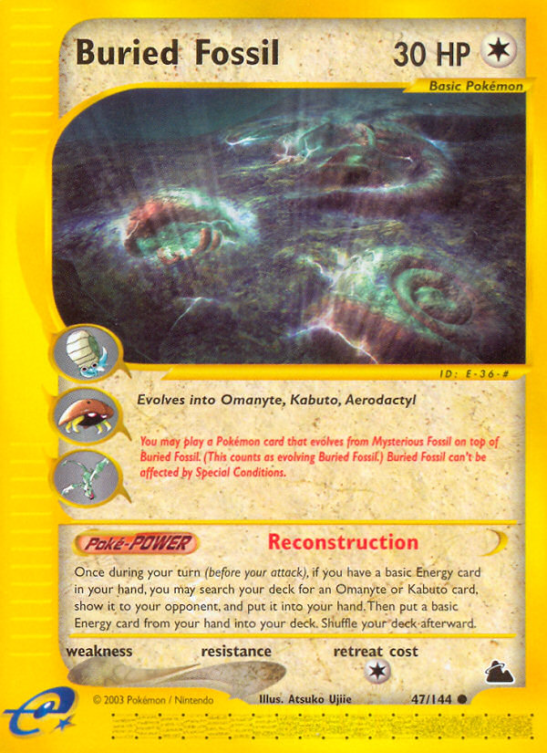 Buried Fossil 47/144 Skyridge