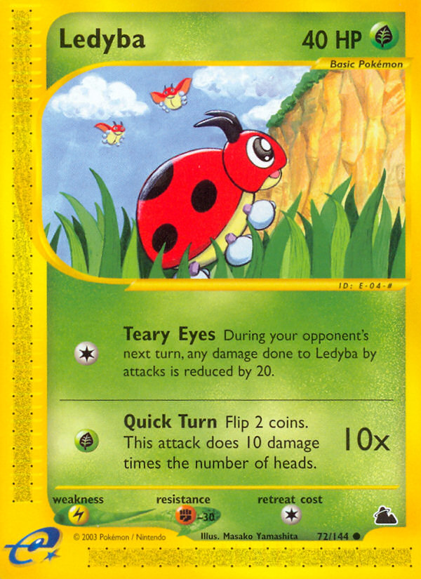 Ledyba 72/144 Skyridge