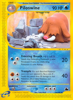 Piloswine 24/144 Skyridge