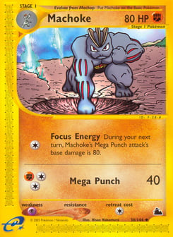 Machoke 38/144 Skyridge