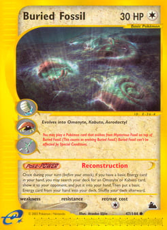 Buried Fossil 47/144 Skyridge