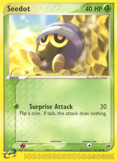 Seedot 76/100 Sandstorm