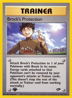 Brock's Protection 101/132 Gym Challenge
