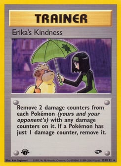 Erika's Kindness 103/132 Gym Challenge
