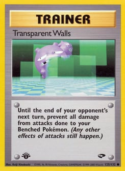 Transparent Walls 125/132 Gym Challenge