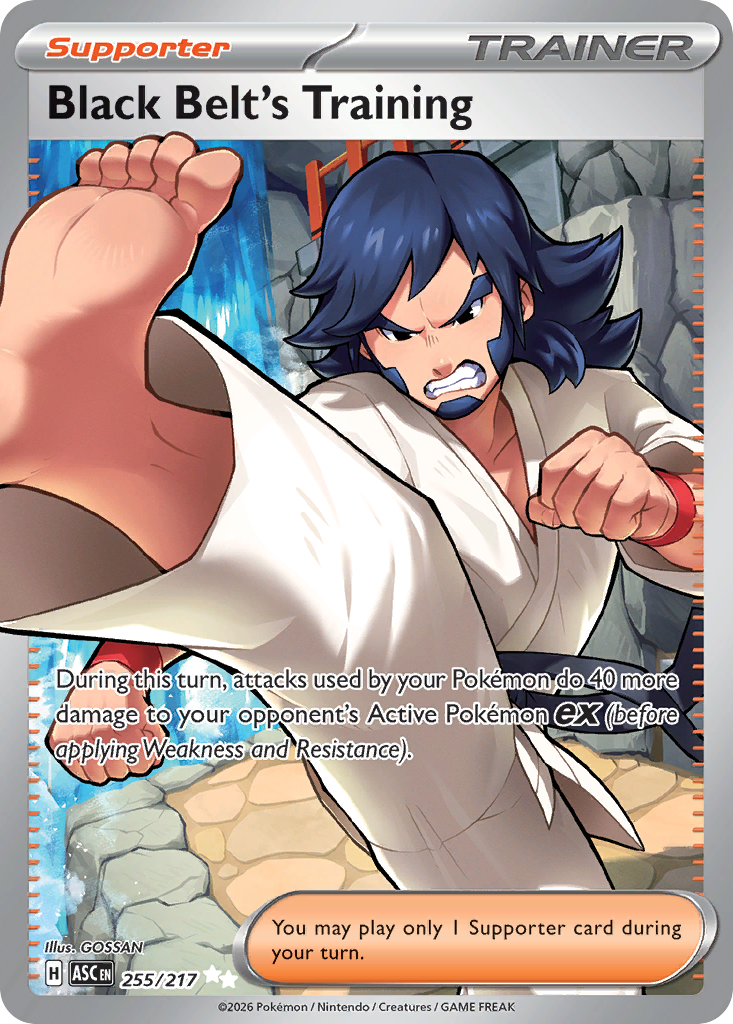 Black Belt's Training 255/217 Ascended Heroes