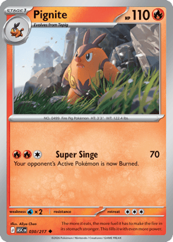 Pignite 030/217 Ascended Heroes