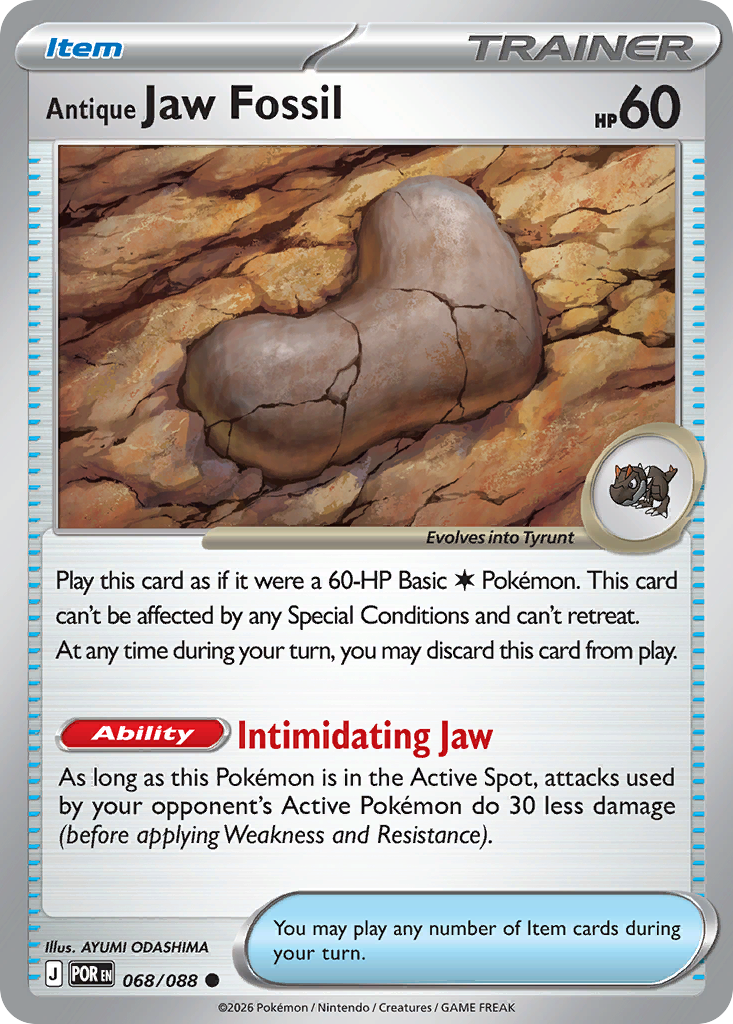Antique Jaw Fossil 068/088 Perfect Order