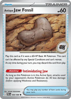 Antique Jaw Fossil 068/088 Perfect Order