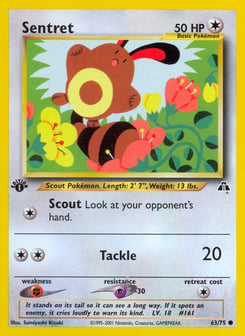 Sentret 63/75 Neo Discovery