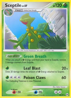 Sceptile 30/99 Arceus