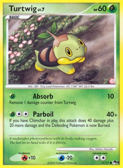 Turtwig 17/17 POP Series 9