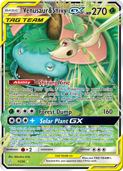 Venusaur & Snivy-GX 1/236 Cosmic Eclipse