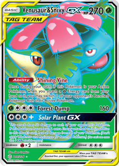 Venusaur & Snivy-GX 210/236 Cosmic Eclipse