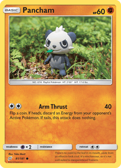 Pancham 81/181 Team Up