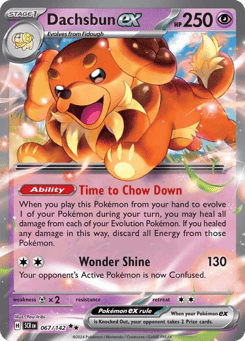 Dachsbun ex 067/142 Stellar Crown
