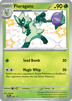 Floragato 077 Scarlet & Violet Black Star Promos