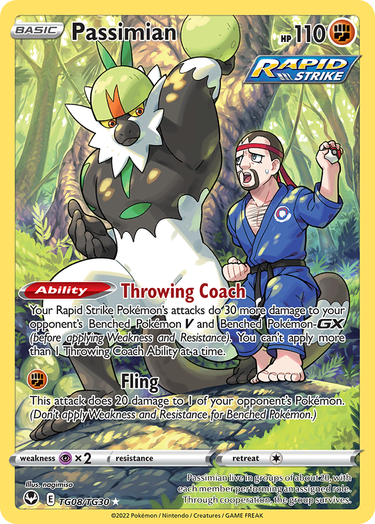 Passimian TG08/TG30 Silver Tempest Trainer Gallery