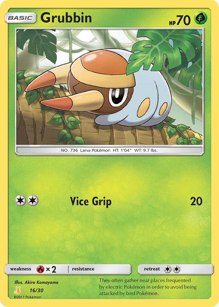 Grubbin 16/30 SM Trainer Kit Alolan Raichu