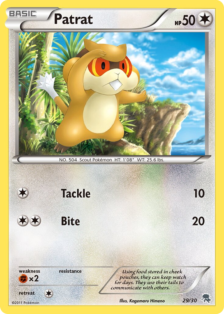 Patrat 29/30 BW Trainer Kit Zoroark