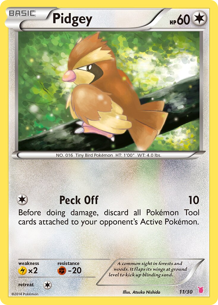 Pidgey 11/30 XY Trainer Kit Wigglytuff