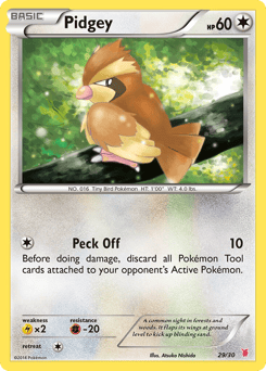 Pidgey 29/30