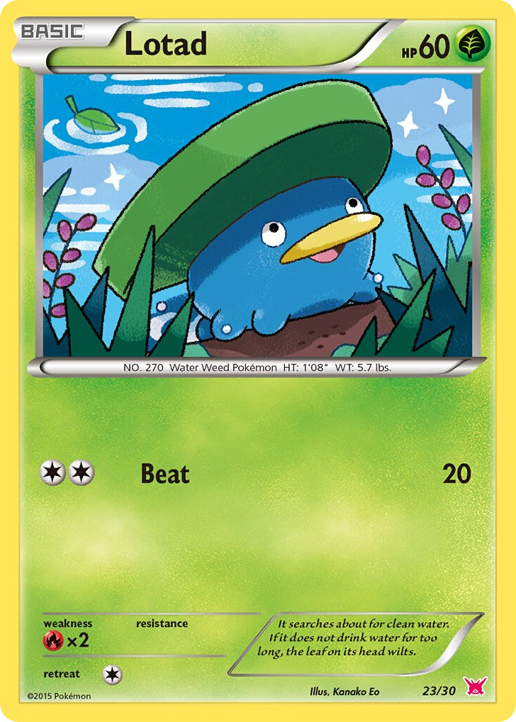 Lotad 23/30 XY Trainer Kit Latias