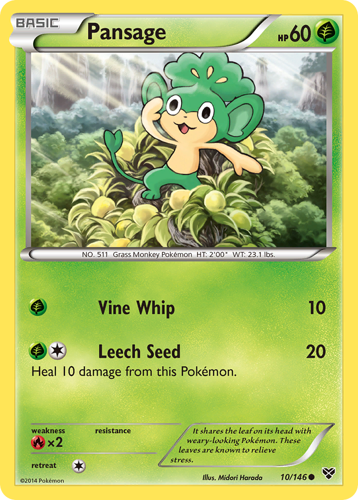 Pansage 10/146 XY