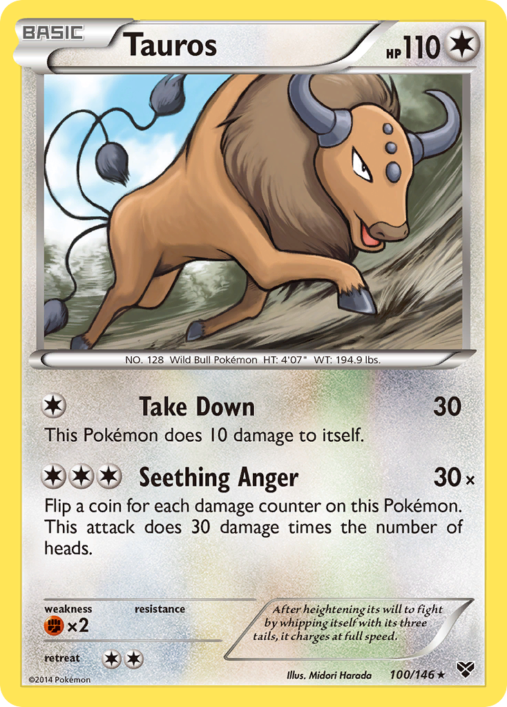 Tauros 100/146 XY