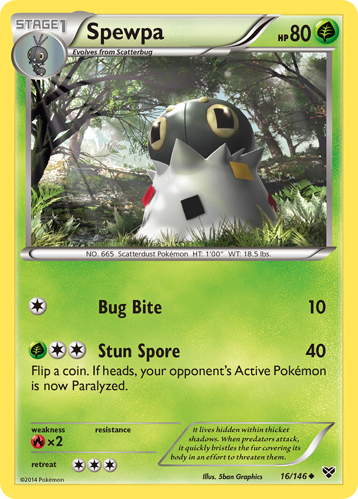 Spewpa 16/146 XY