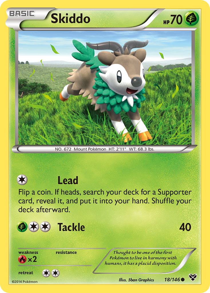 Skiddo 18/146 XY