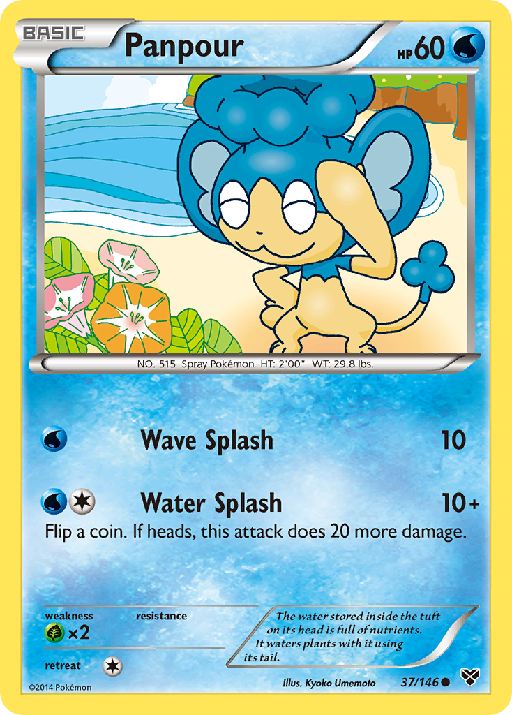 Panpour 37/146 XY