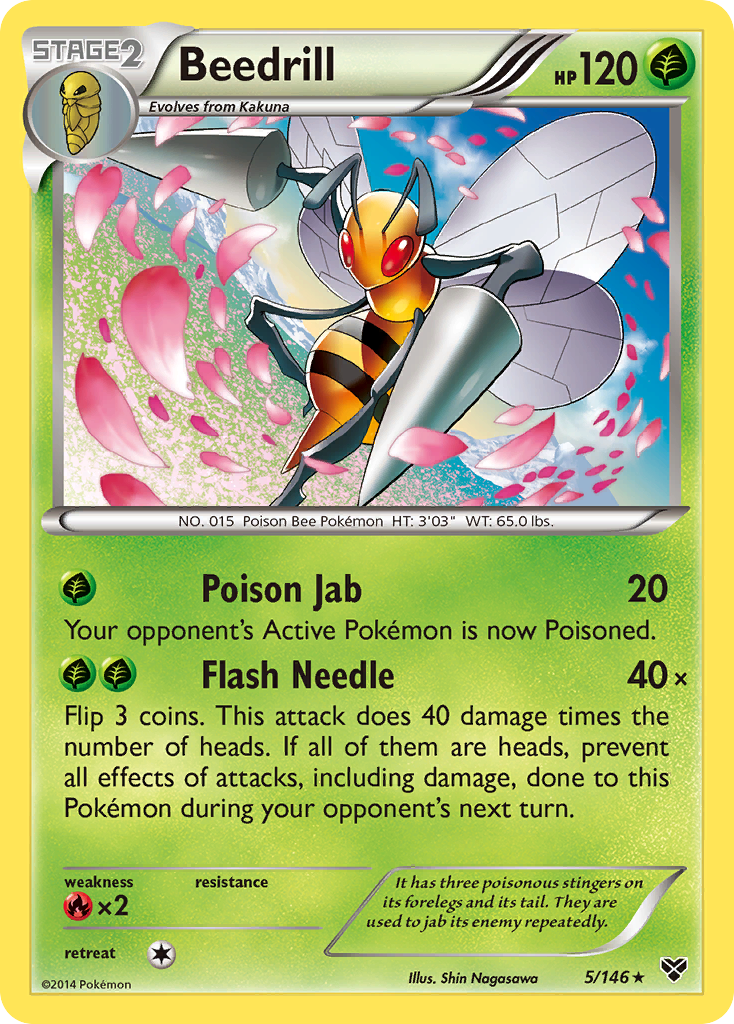 Beedrill 5/146 XY
