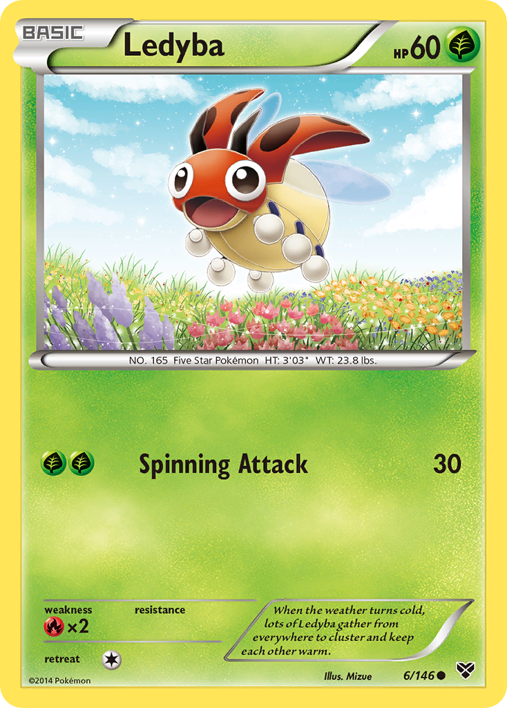 Ledyba 6/146 XY