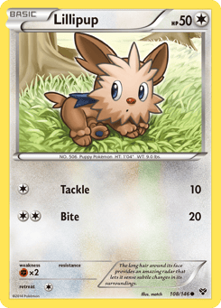Lillipup 108/146 XY