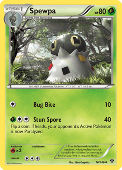 Spewpa 16/146 XY