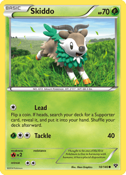 Skiddo 18/146 XY