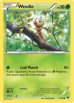 Weedle 3/146 XY